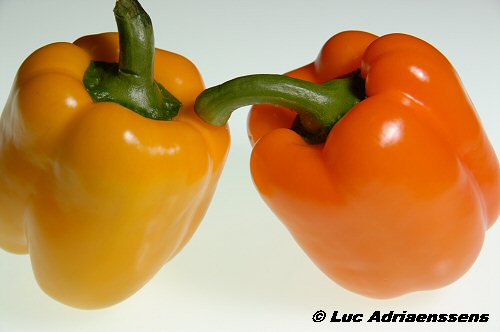 Groente & Fruit 01