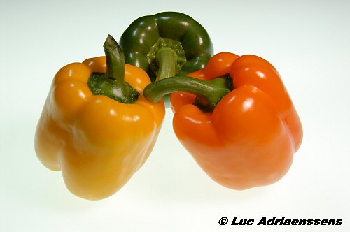 Groente & Fruit 02