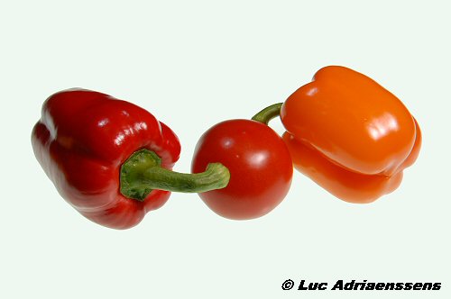 Groente & Fruit 03