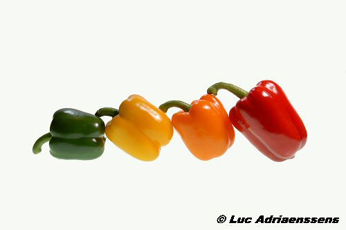 Groente & Fruit 05