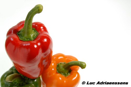 Groente & Fruit 06