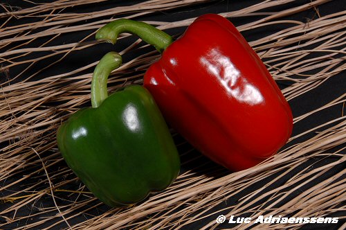 Groente & Fruit 07