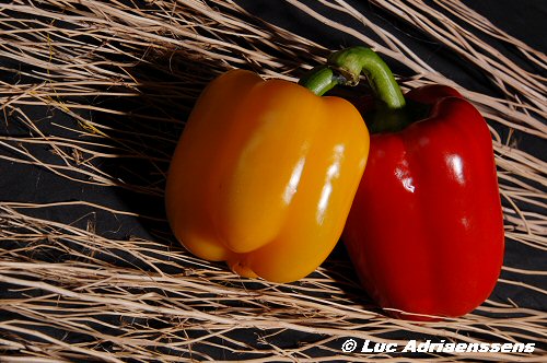 Groente & Fruit 08