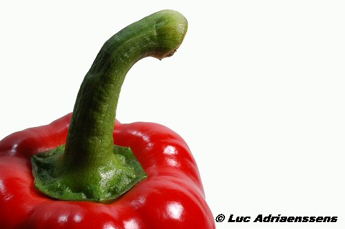 Groente & Fruit 09