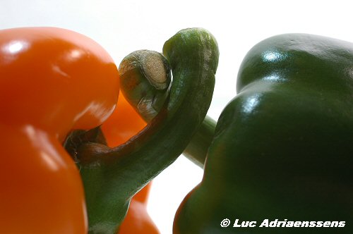 Groente & Fruit 11