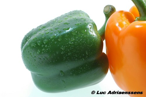 Groente & Fruit 13