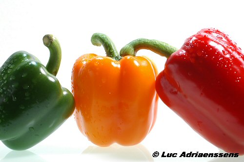 Groente & Fruit 14