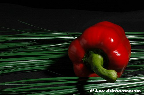Groente & Fruit 15
