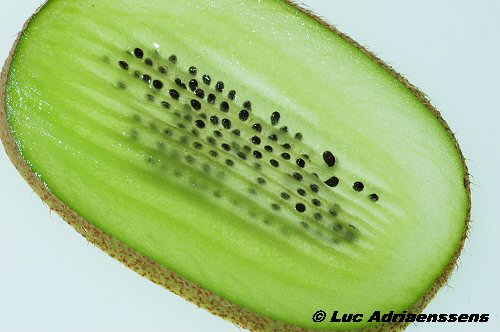 Groente & Fruit 16