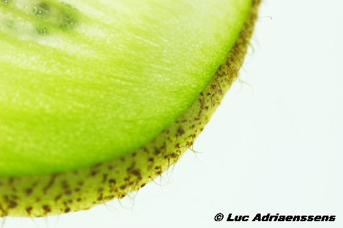 Groente & Fruit 17