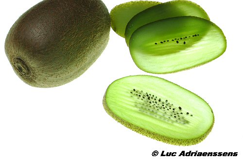 Groente & Fruit 19