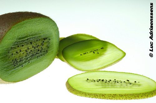 Groente & Fruit 21
