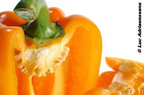 Groente & Fruit 23
