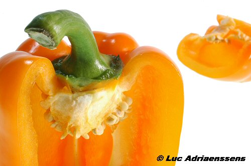 Groente & Fruit 24