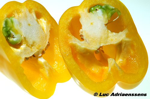 Groente & Fruit 27