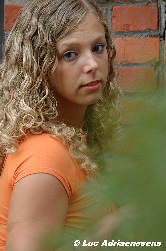 Loes V. 15