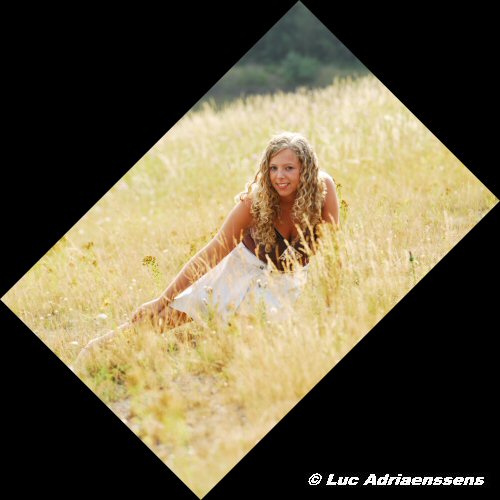 Loes V. 31