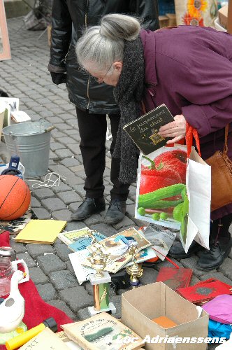 Vossenplein 06