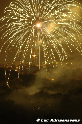 Firework 07