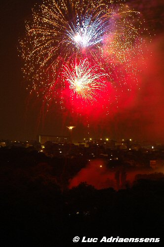 Firework 10