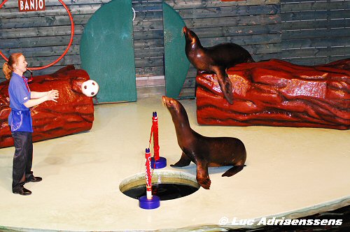 Zoo14